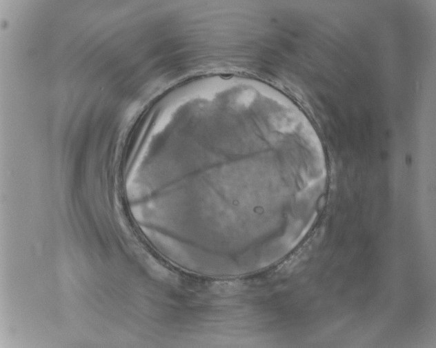 X0000073890145200609082131