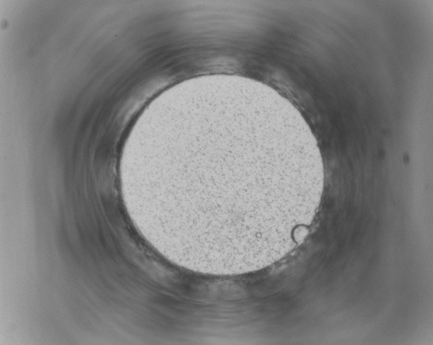 X0000073890146200609082131