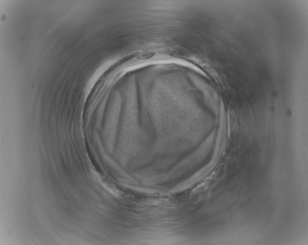 X0000073890147200609082131