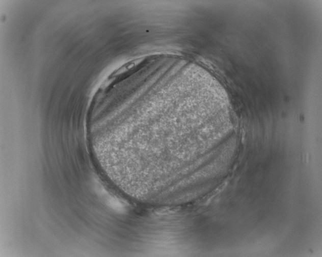 X0000073890148200609082131