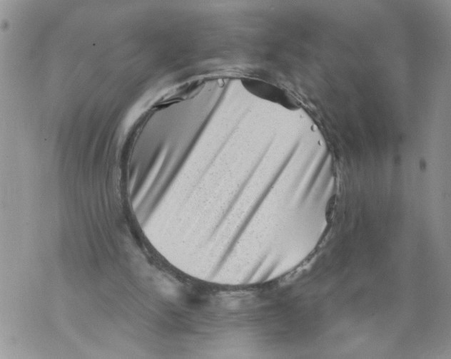 X0000073890150200609082131