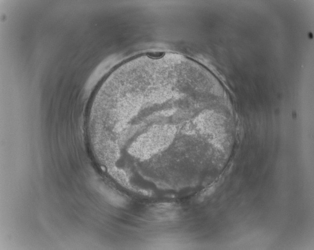 X0000073890151200609082131