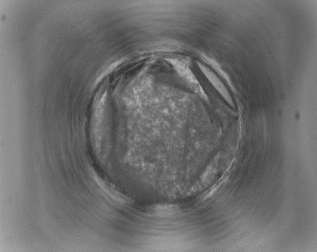 X0000073890154200609082131