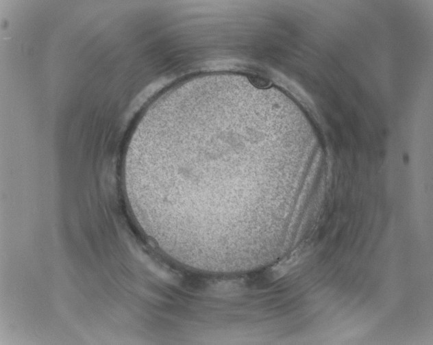 X0000073890155200609082131