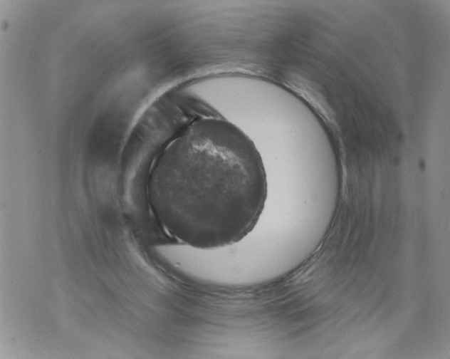 X0000073890156200609082131