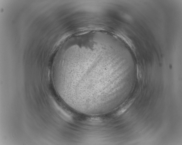 X0000073890157200609082131