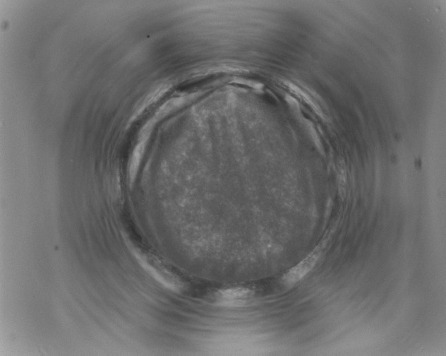 X0000073890158200609082131