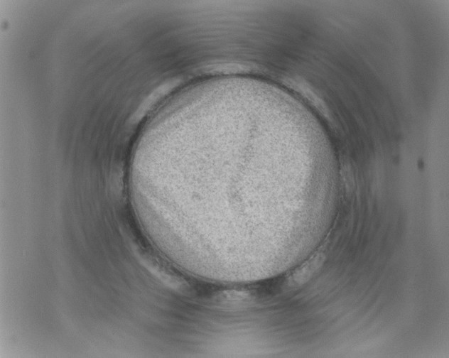 X0000073890159200609082131