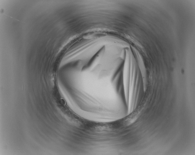 X0000073890160200609082131