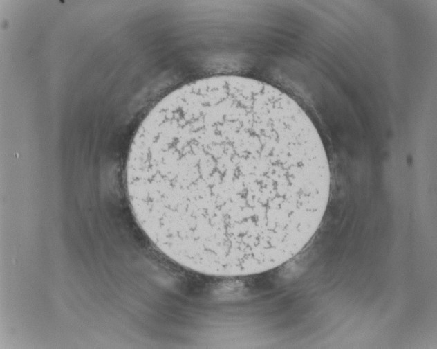 X0000073890162200609082132