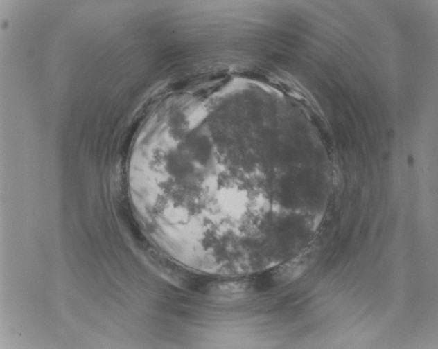 X0000073890163200609082132