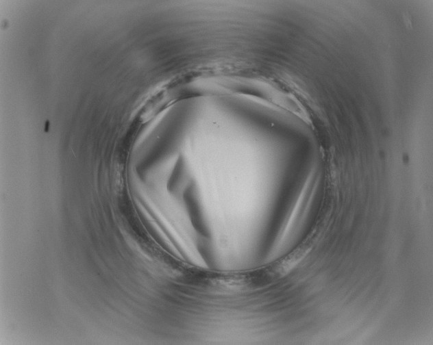 X0000073890164200609082132