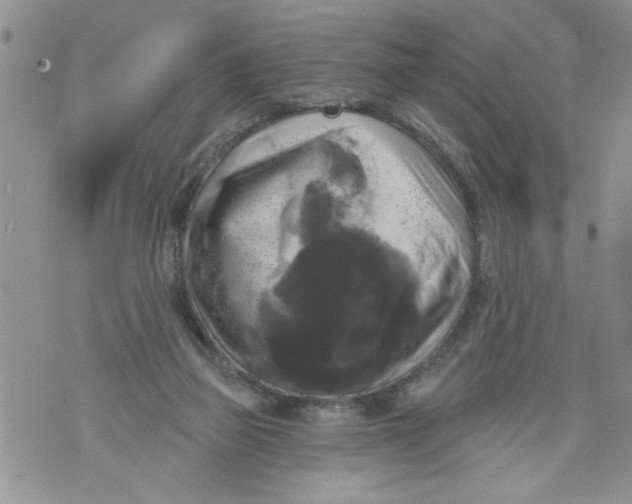 X0000073890165200609082132