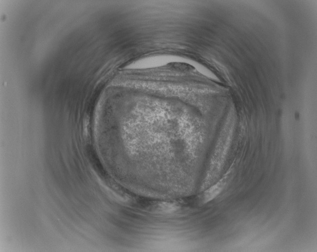 X0000073890166200609082132