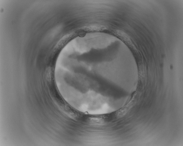 X0000073890167200609082132