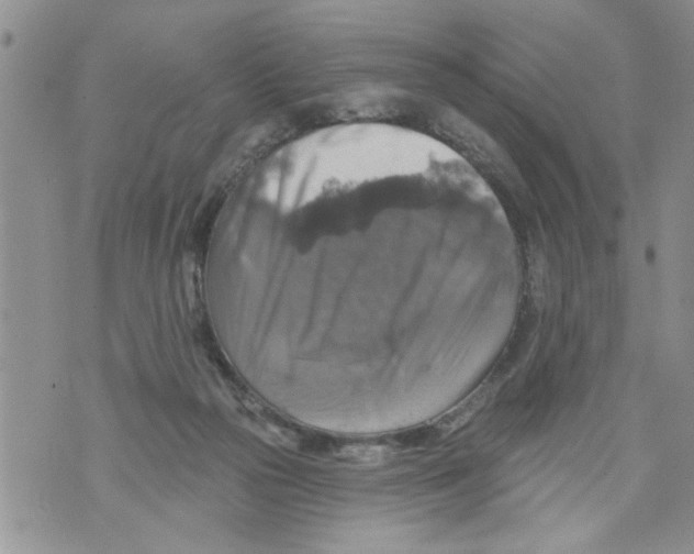 X0000073890169200609082132