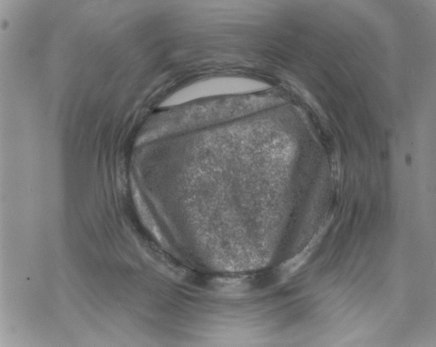 X0000073890170200609082132