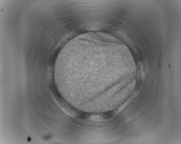 X0000073890171200609082132