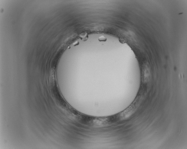 X0000073890172200609082132