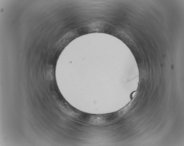 X0000073890174200609082132