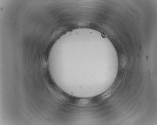 X0000073890176200609082132