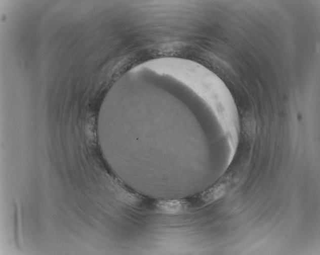 X0000073890181200609082132