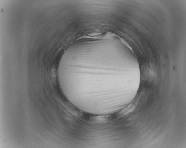 X0000073890184200609082132