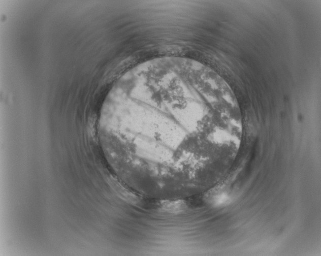 X0000073890185200609082132