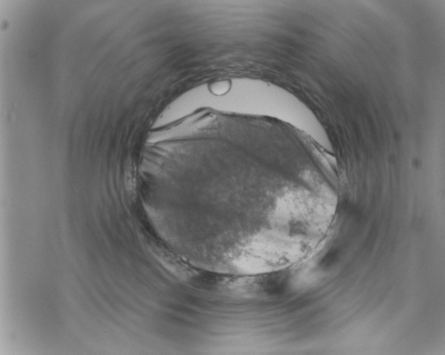 X0000073890186200609082132