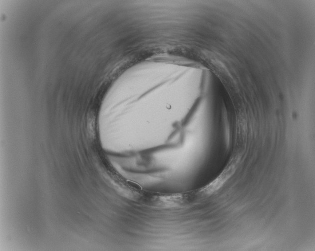 X0000073890188200609082132