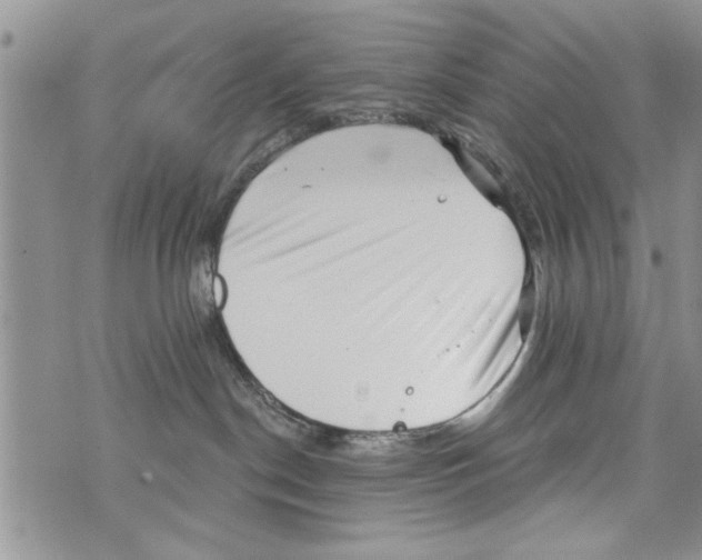 X0000073890190200609082132