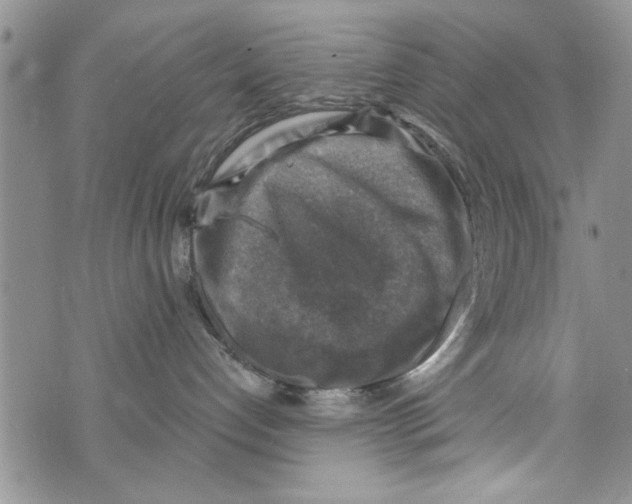 X0000073890192200609082132