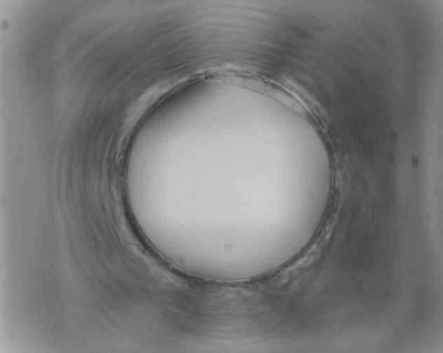 X0000073890193200609082131