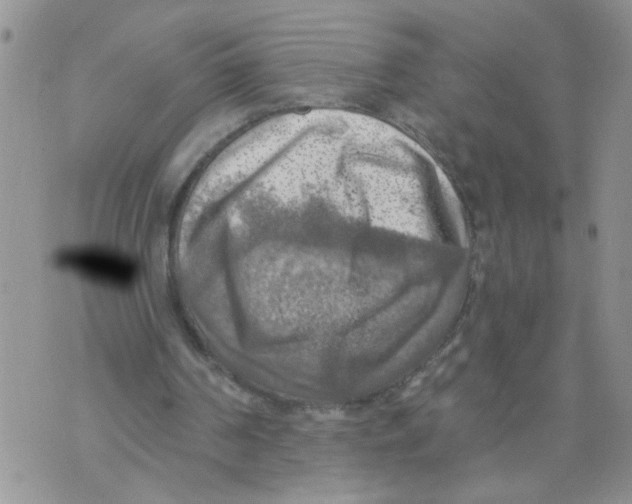 X0000073890194200609082131