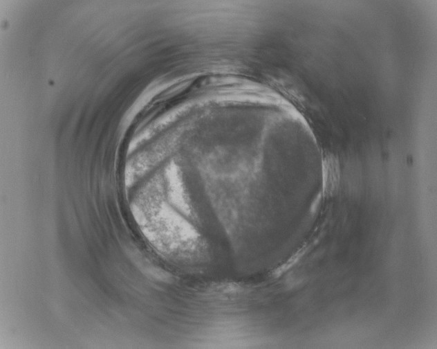 X0000073890195200609082131