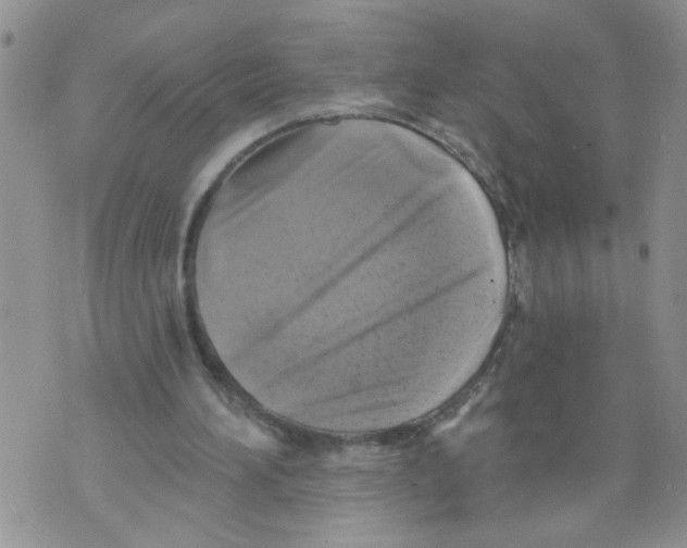 X0000073890196200609082131