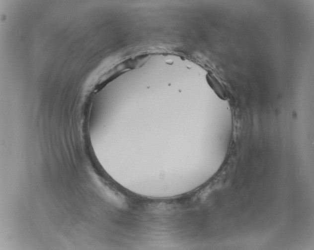 X0000073890197200609082131