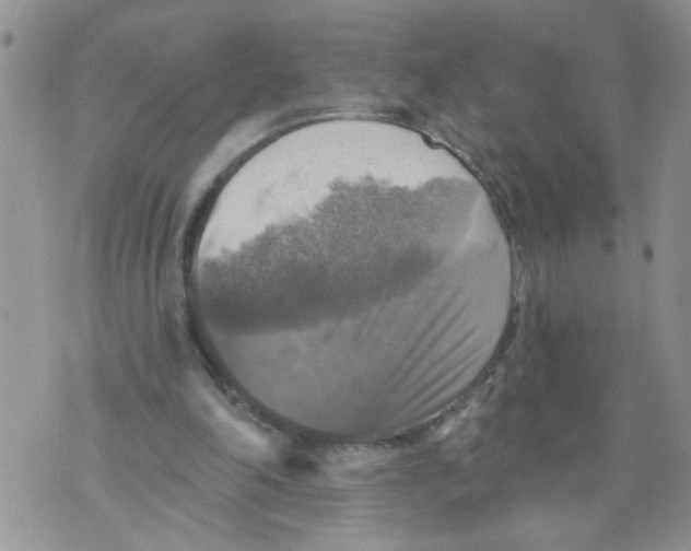 X0000073890198200609082131