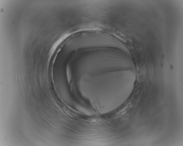 X0000073890200200609082131