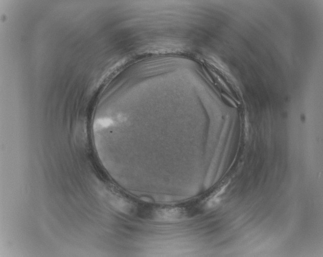 X0000073890202200609082131