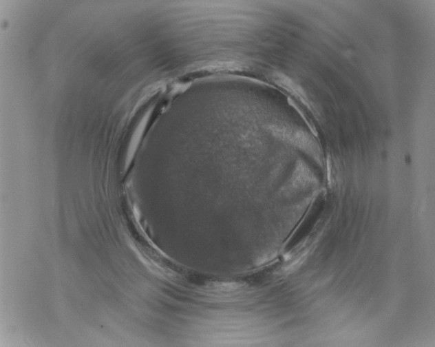 X0000073890205200609082131