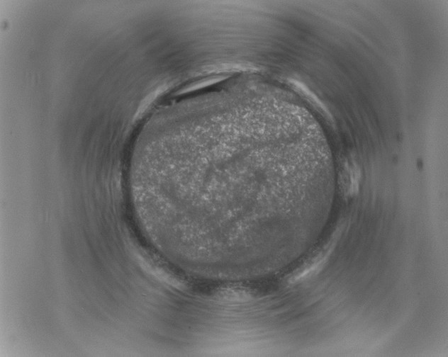 X0000073890207200609082131