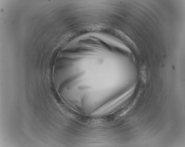 X0000073890209200609082131