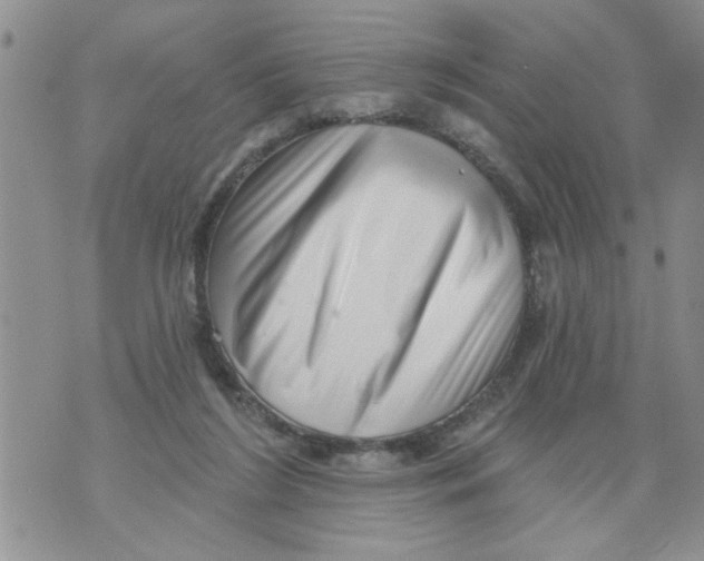 X0000073890212200609082131