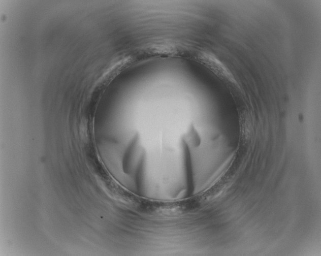 X0000073890213200609082131