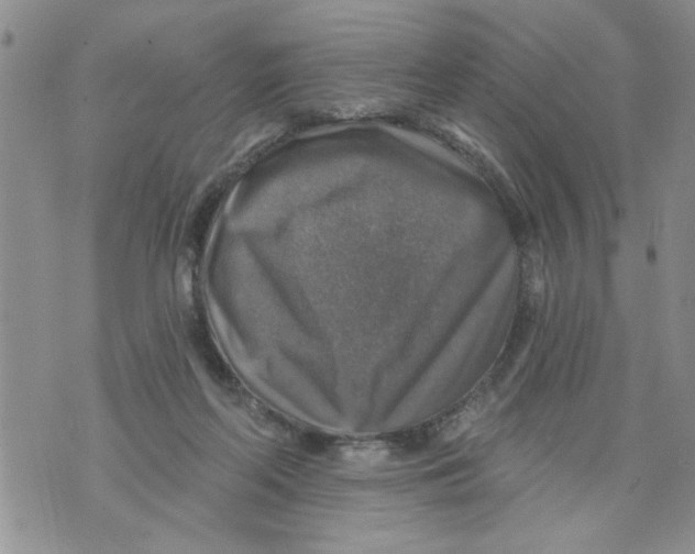 X0000073890214200609082131