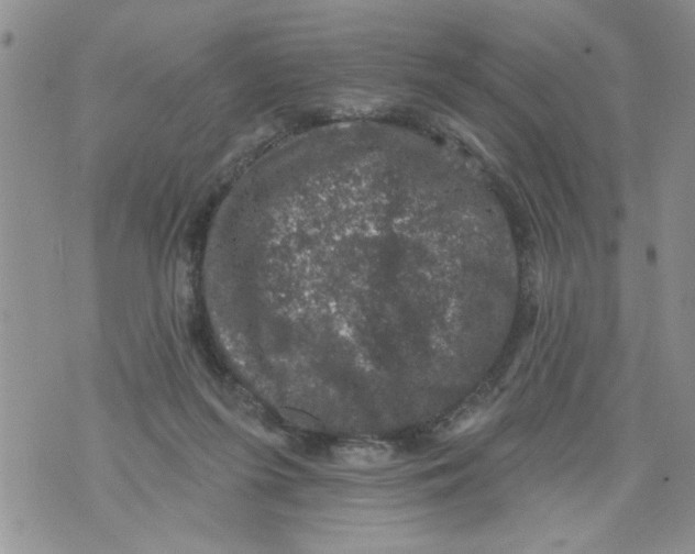 X0000073890215200609082131