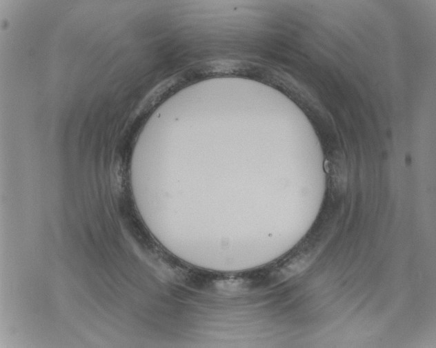 X0000073890216200609082131