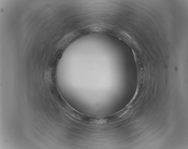 X0000073890217200609082131