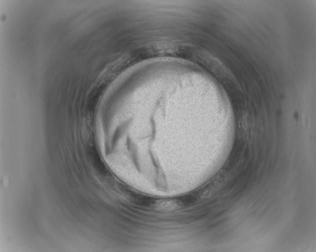 X0000073890218200609082131